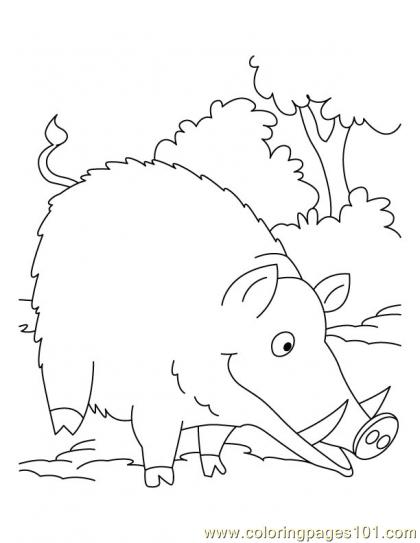 420x543 Wild Boar Coloring Coloring Page