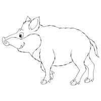 200x200 Wild Boar Coloring Pages Surfnetkids