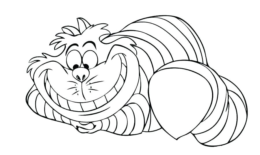 900x538 Realistic Cat Coloring Pages Big Cat Coloring Pages Cat Coloring