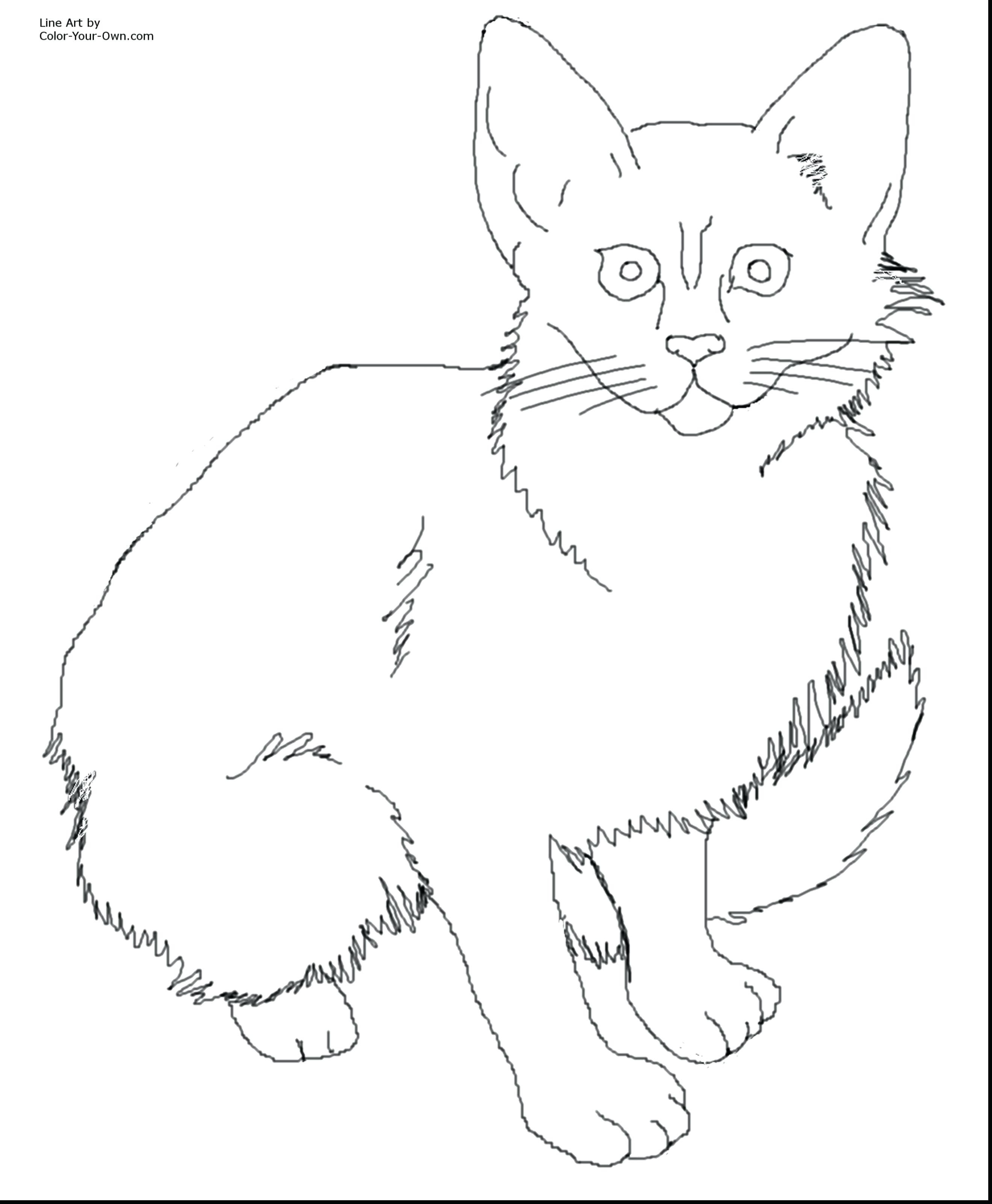 2640x3204 Tiger Cat Coloring Pages Best Of Wild Cats These Free Animal Are