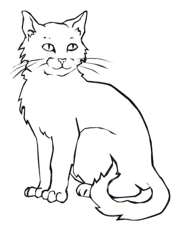 610x784 Unique Realistic Cat Coloring Pages Or Realistic Cat Coloring Page