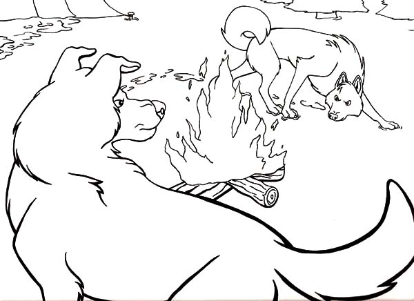 600x436 Call Of The Wild Coloring Pages Coloring Sun