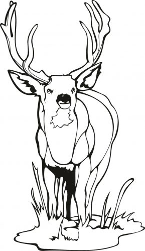 289x500 Coloring Pages Hunting Coloring Pages Mammals Wild Dog