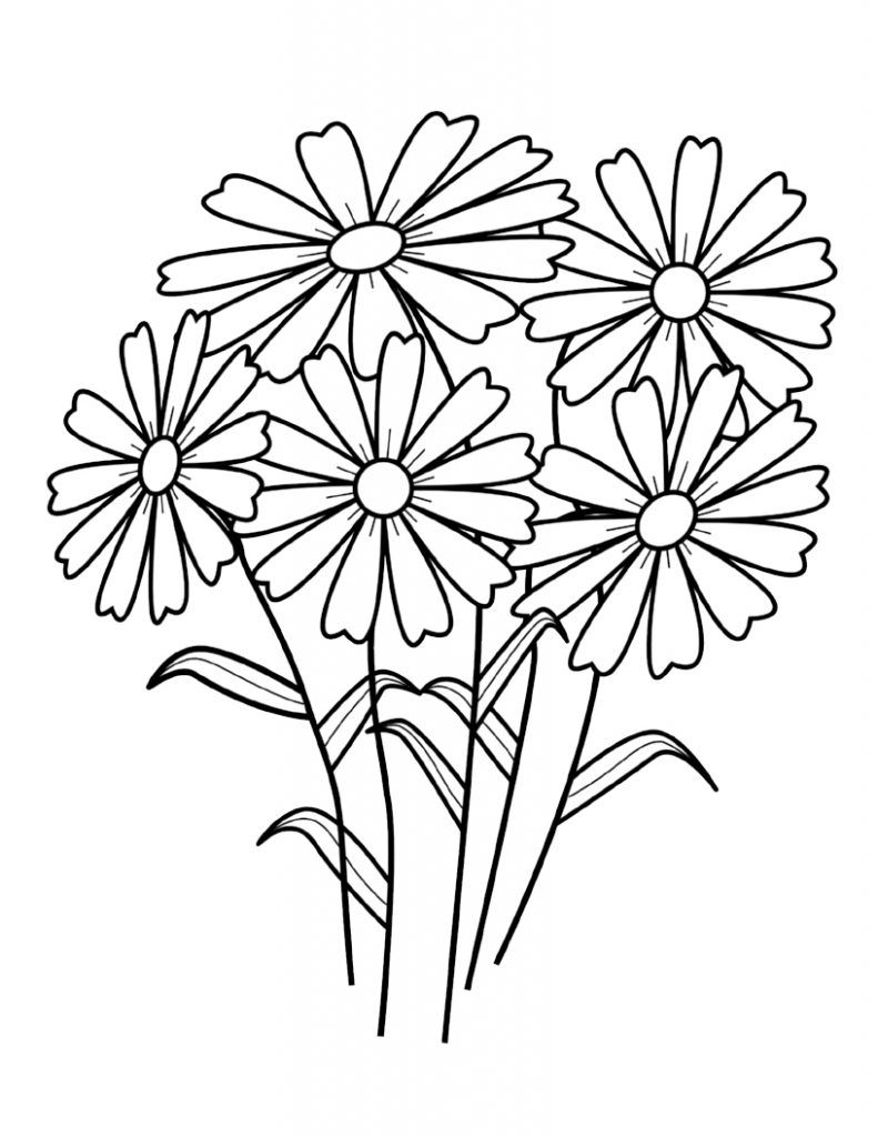 791x1024 Free Printable Flower Coloring Pages For Kids Wild Flowers