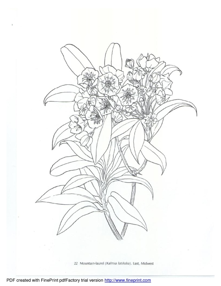 736x952 Best Printable Flower Pages Images On Embroidery