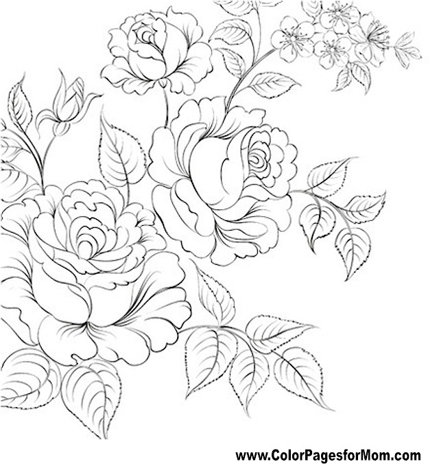 640x676 Advanced Coloring Pages
