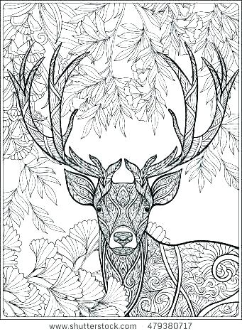 341x470 Hunting Coloring Pages Hunting Coloring Pages Deer Coloring Pages
