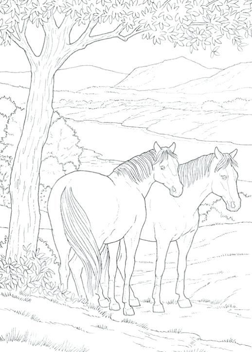 518x724 Wild Horse Coloring Pages Or Best Spirit Coloring Pages Images