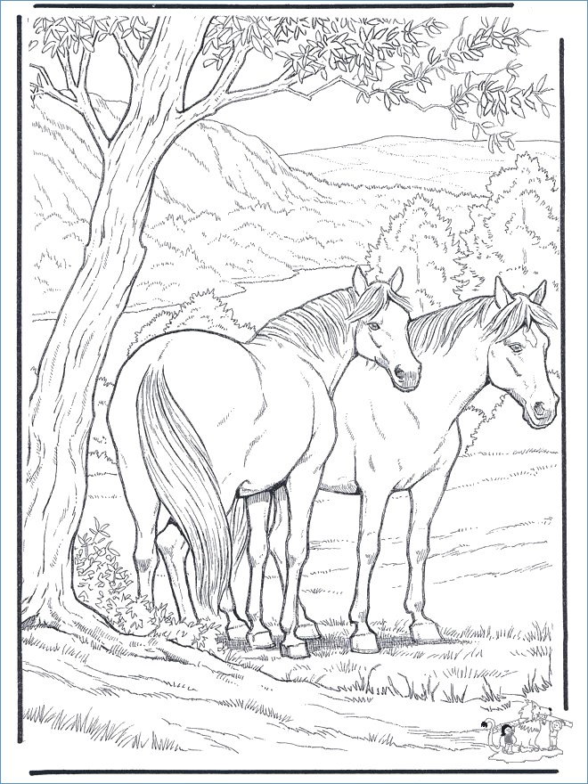 660x880 Beautiful Horse Coloring Page