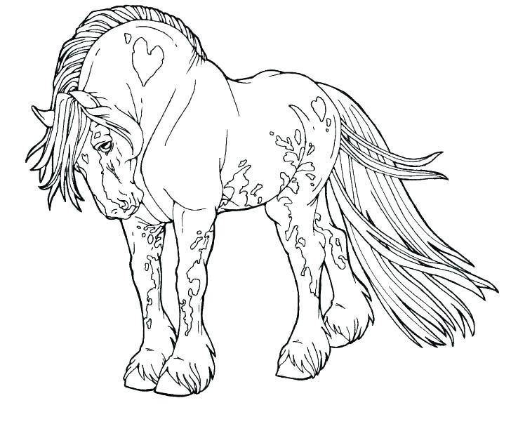 728x604 Wild Horses Coloring Pages