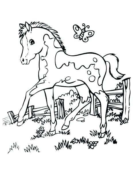 463x600 Free Printable Horse Coloring Pages