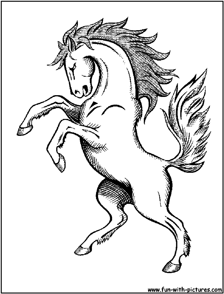 765x1004 Wild Horse Coloring Pages Coloring Pages Printable And Template