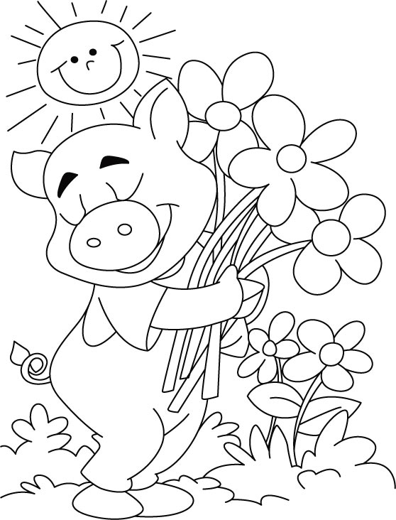 558x732 Top Pig Coloring Pages