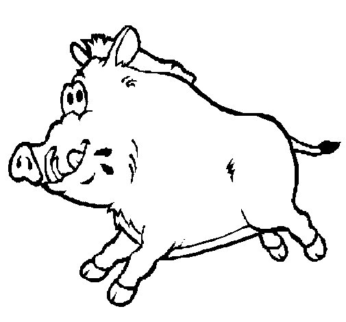 505x470 Wild Boar Coloring Page