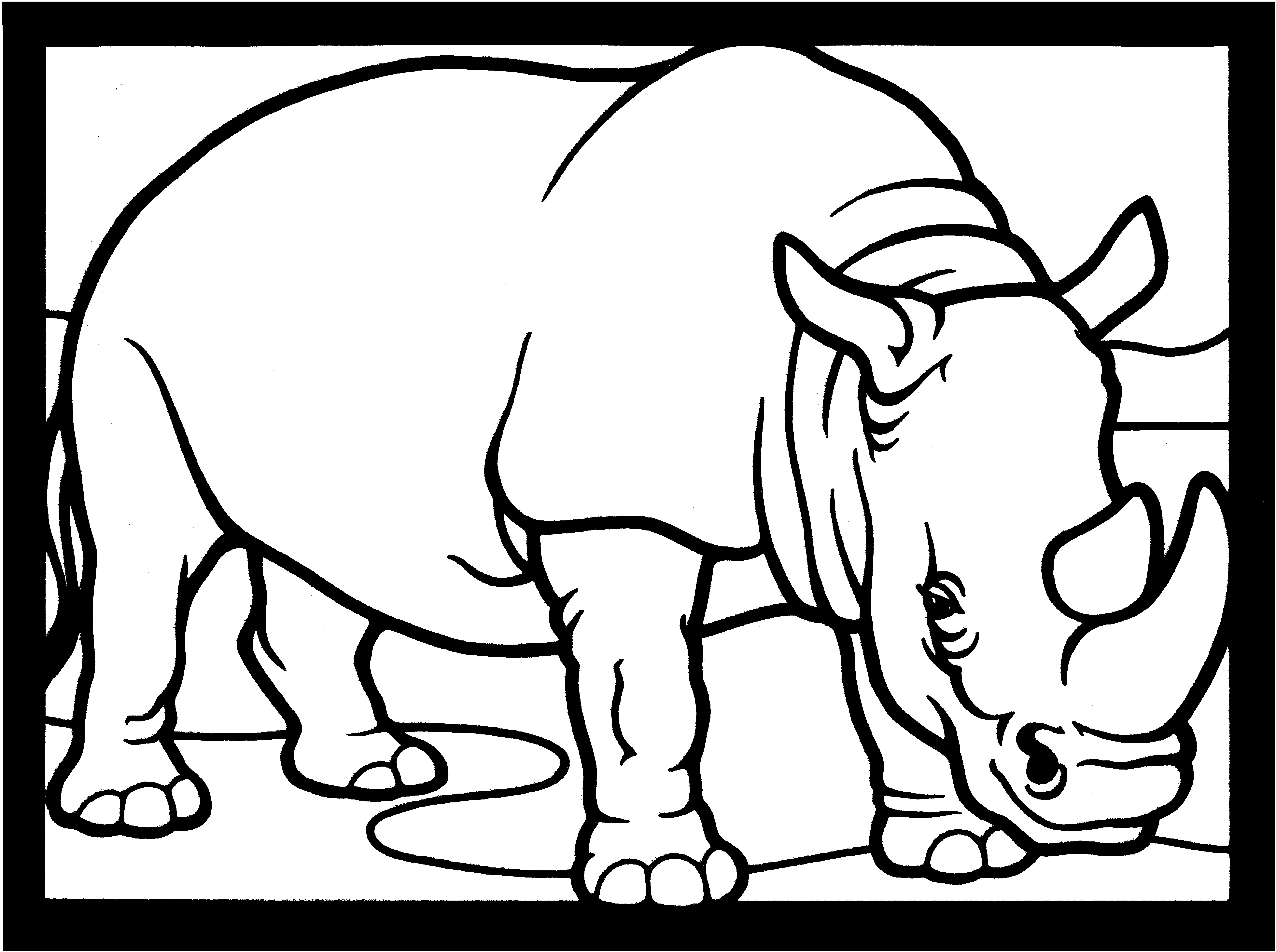 6471x4831 Fresh Wild Pig Coloring Pages Pen And Ink