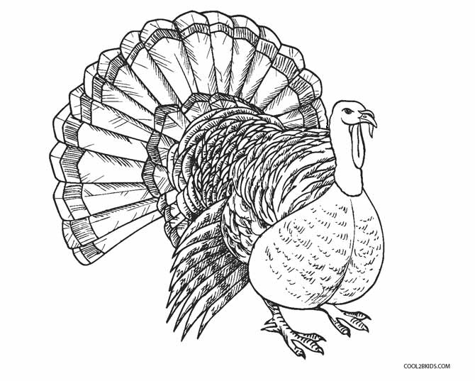 670x537 Free Printable Turkey Coloring Pages For Kids