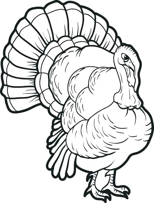 530x700 Printable Turkey Coloring Page Free Turkey Coloring Page