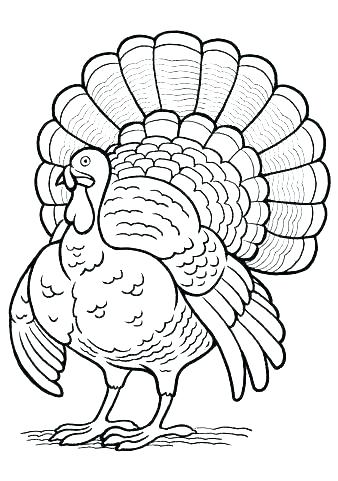 338x481 Printable Turkey Coloring Pages Free Printable Turkey Coloring