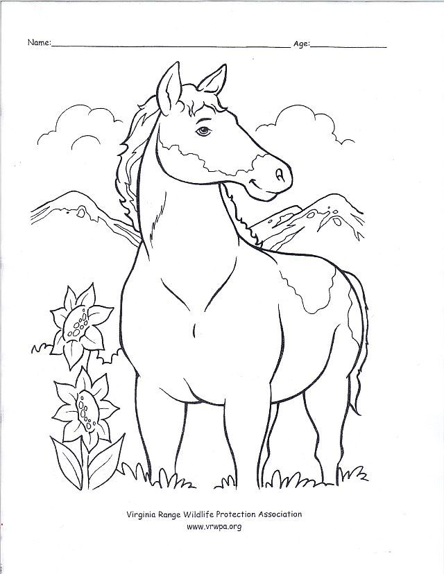 640x828 Wild West Coloring Pages