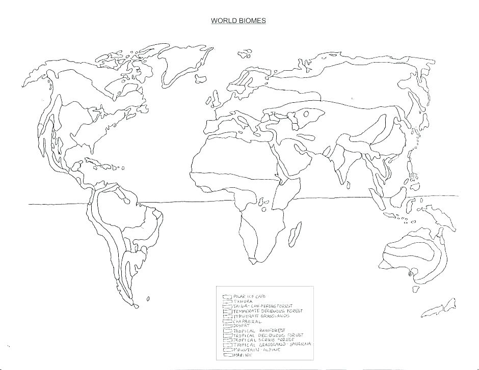 940x727 Grassland Plants Coloring Sheets Pages Basic Concepts