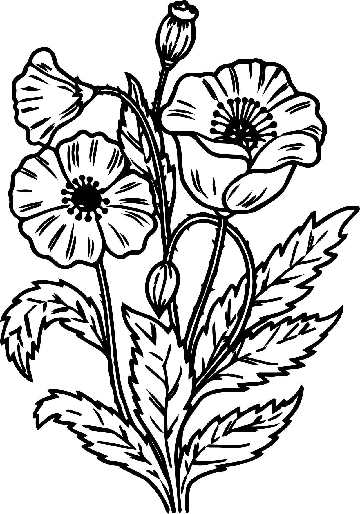 1241x1771 Wild Flower Coloring Page