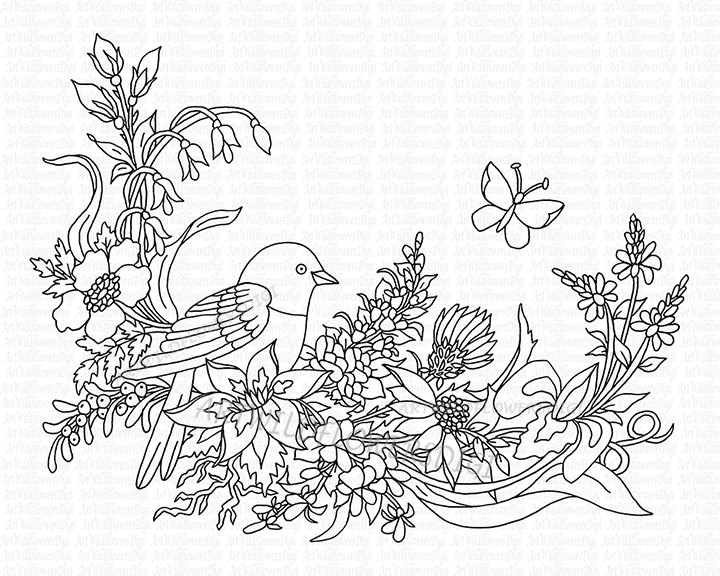 720x576 Bird Digi Stamp Adult Coloring Sheet Wildflower Vine Print