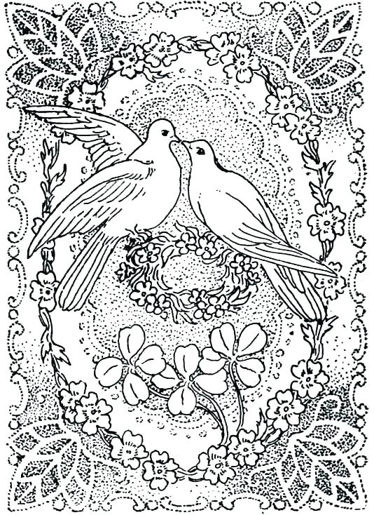 534x734 Wildflower Coloring Pages Wildflower Coloring Pages Great Love