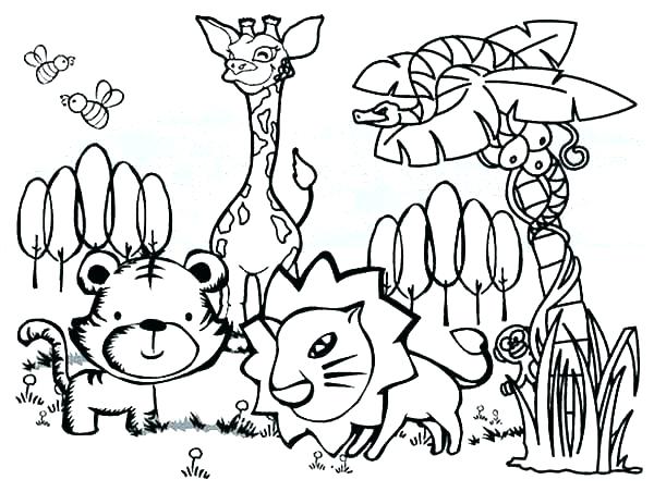 600x452 Forest Animals Coloring Pages Wildlife Coloring Pages Forest