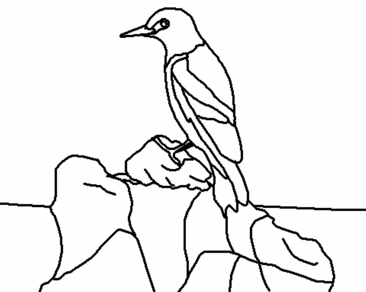 1200x958 Free Wildlife Coloring Book