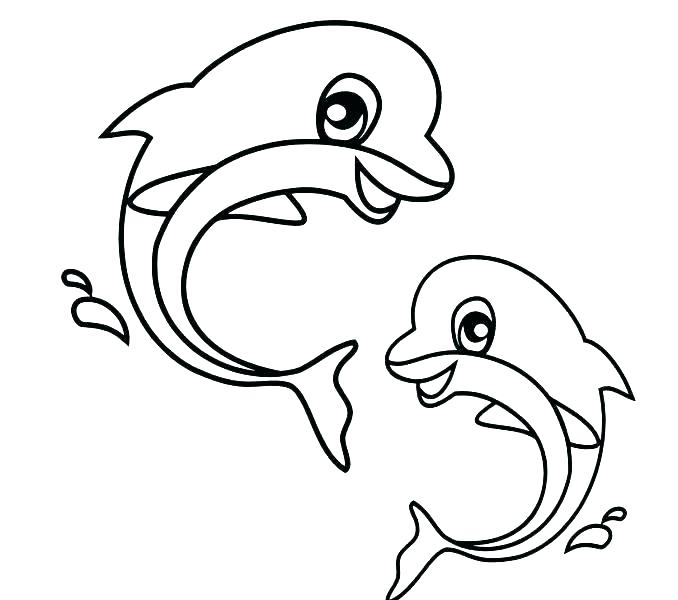678x600 Zoo Animals Coloring Pages