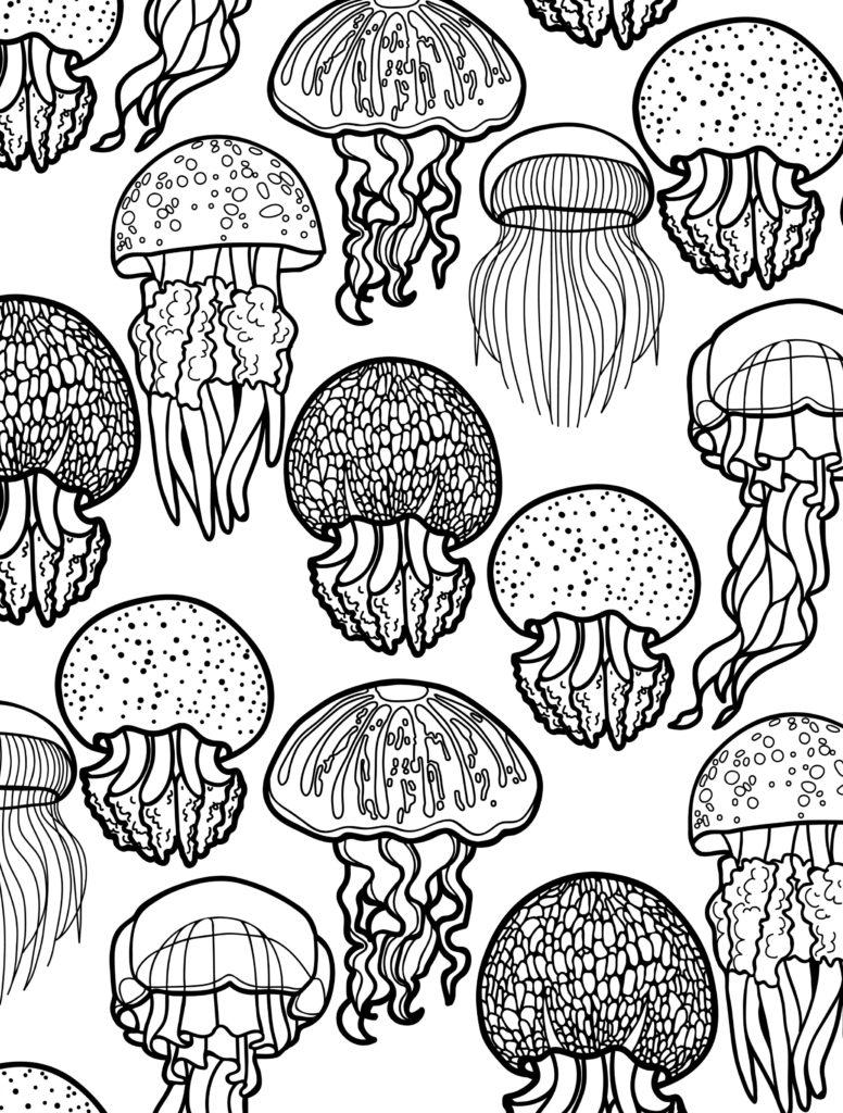 776x1024 Animal Coloring Pages For Adults