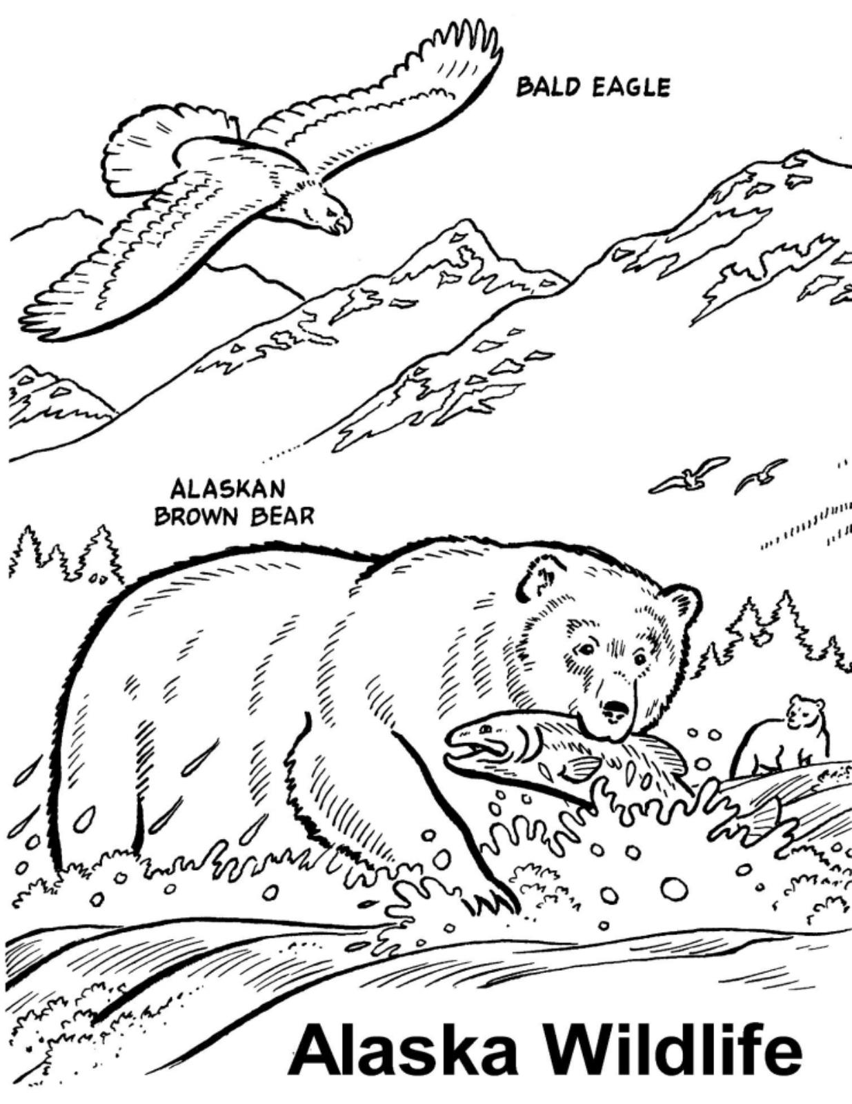1235x1600 Free Wildlife Coloring Book