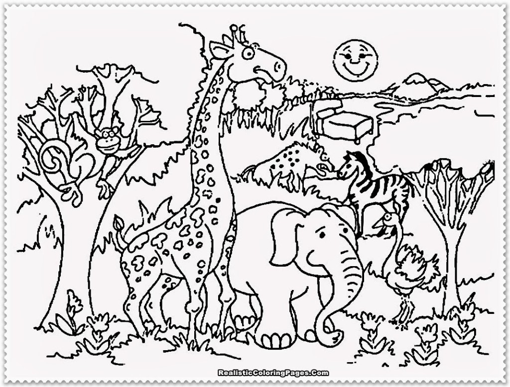 1024x778 Quickly Zoo Animals Pictures To Color Love Animal Coloring Pages