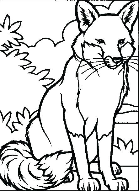 443x609 Coloring Pages Printable Animals Vanda