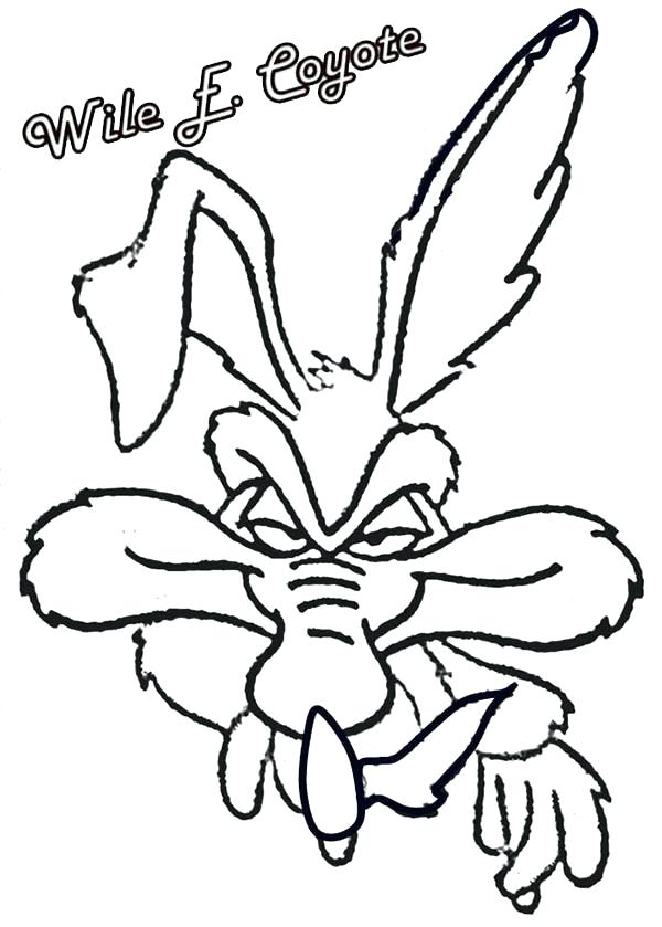 600x839 Coyote Coloring Pages Tunes Coloring Pages Picture Of Wile E