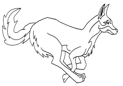 476x333 Coyote Coloring Sheet Page Image Images Deer Coloring Pages Coyote