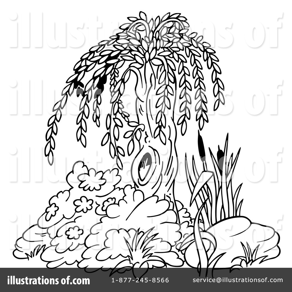 1024x1024 Willow Tree Clipart