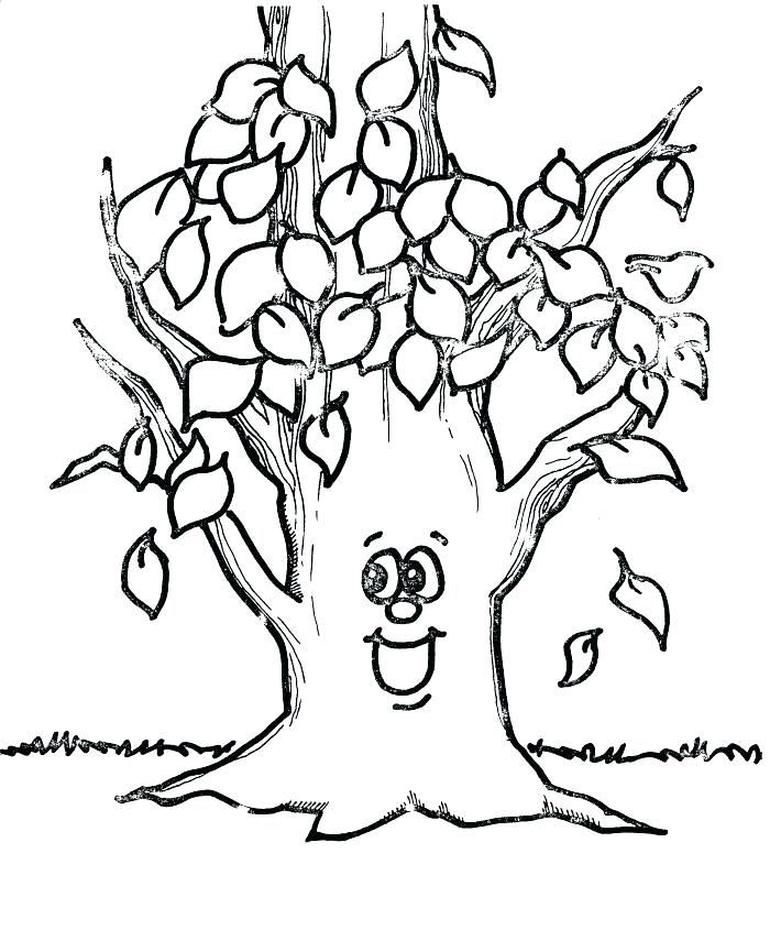 700x855 Tree Trunk Coloring Page Bare Tree Coloring Page Bare Tree Without