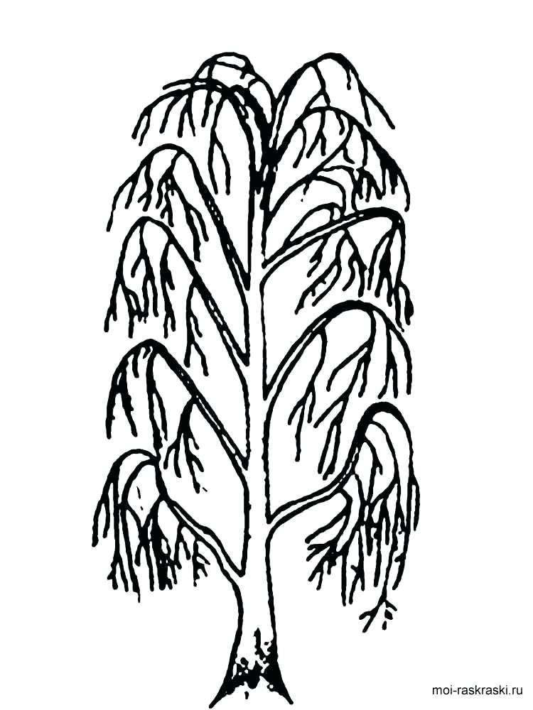 750x1000 Tree Trunk Coloring Page Coloring Pages Trees Coloring Pages