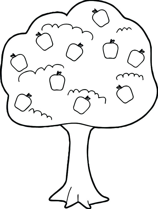 618x816 Printable Tree