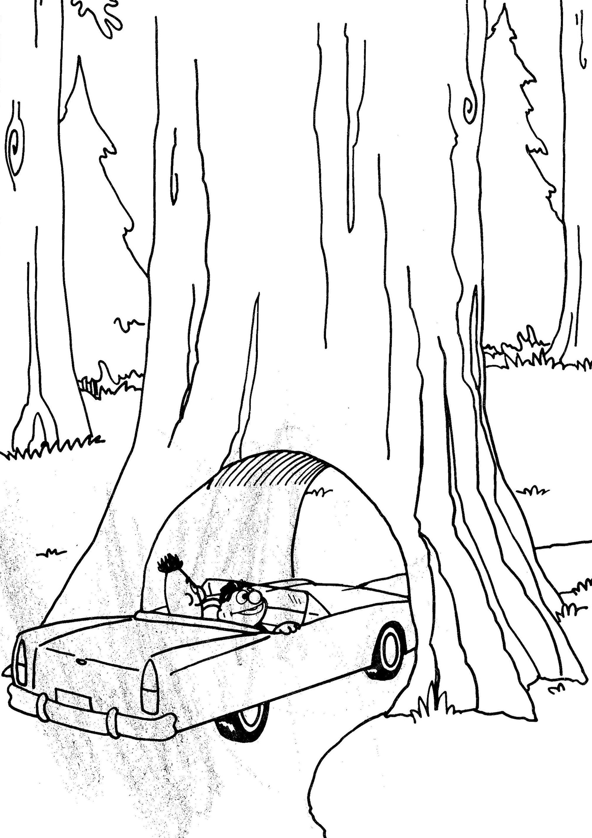 2000x2829 Coloring Page Willow Tree