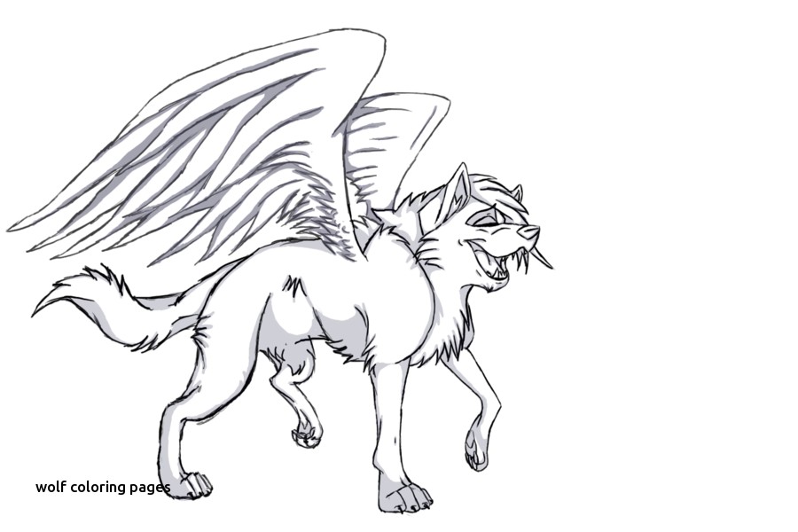 900x600 Pictures Of Winged Animals Wolves And Cats For Wolf Coloring Pages