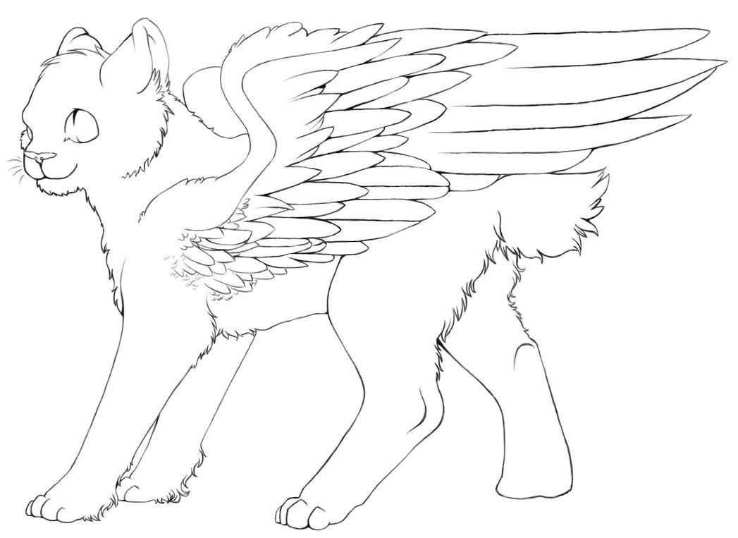 1047x763 Stunning Of Funny Fox With Wings Coloring Page Winged Cat