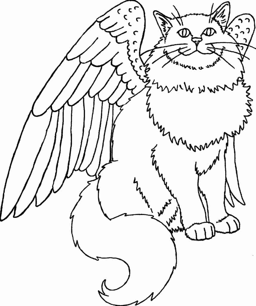 858x1023 Cute Winged Unicorn Coloring Page Free Printable Pages Amazing