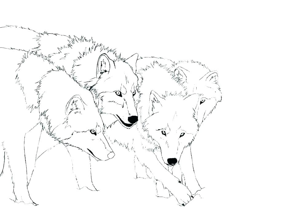 Winged Wolf Coloring Pages at GetDrawings | Free download