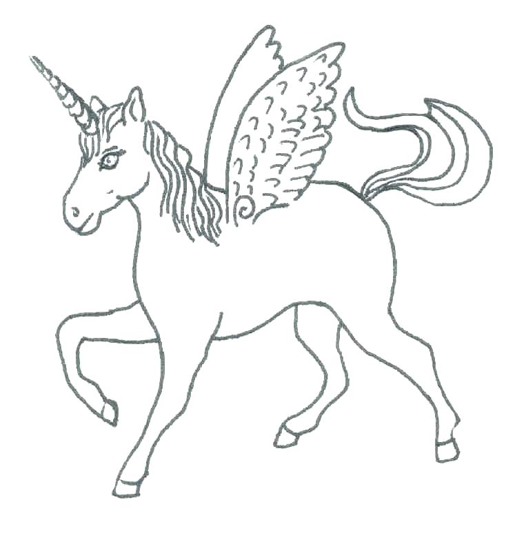 763x783 Unicorn With Wings Coloring Pages Unicorn With Wings Coloring