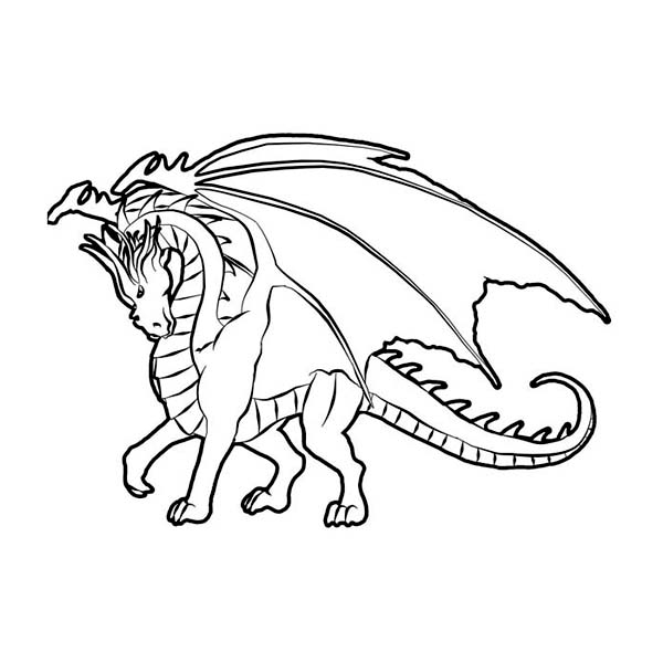 600x600 Fire Dragon Coloring Pages