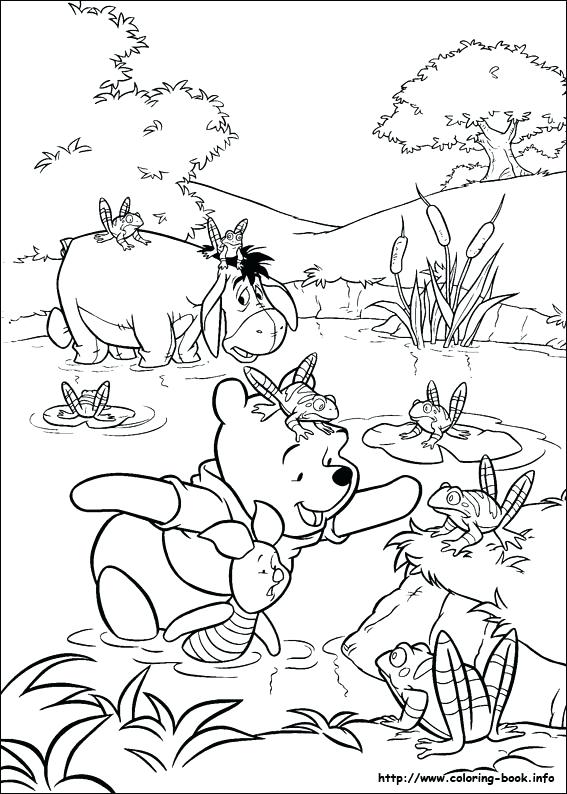 567x794 Winnie Pooh Printable Coloring Pages Free Coloring Pages