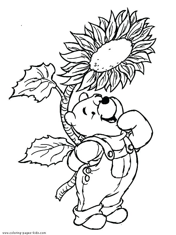 600x800 Pooh And Friends Having Picnic Coloring Pages Printable