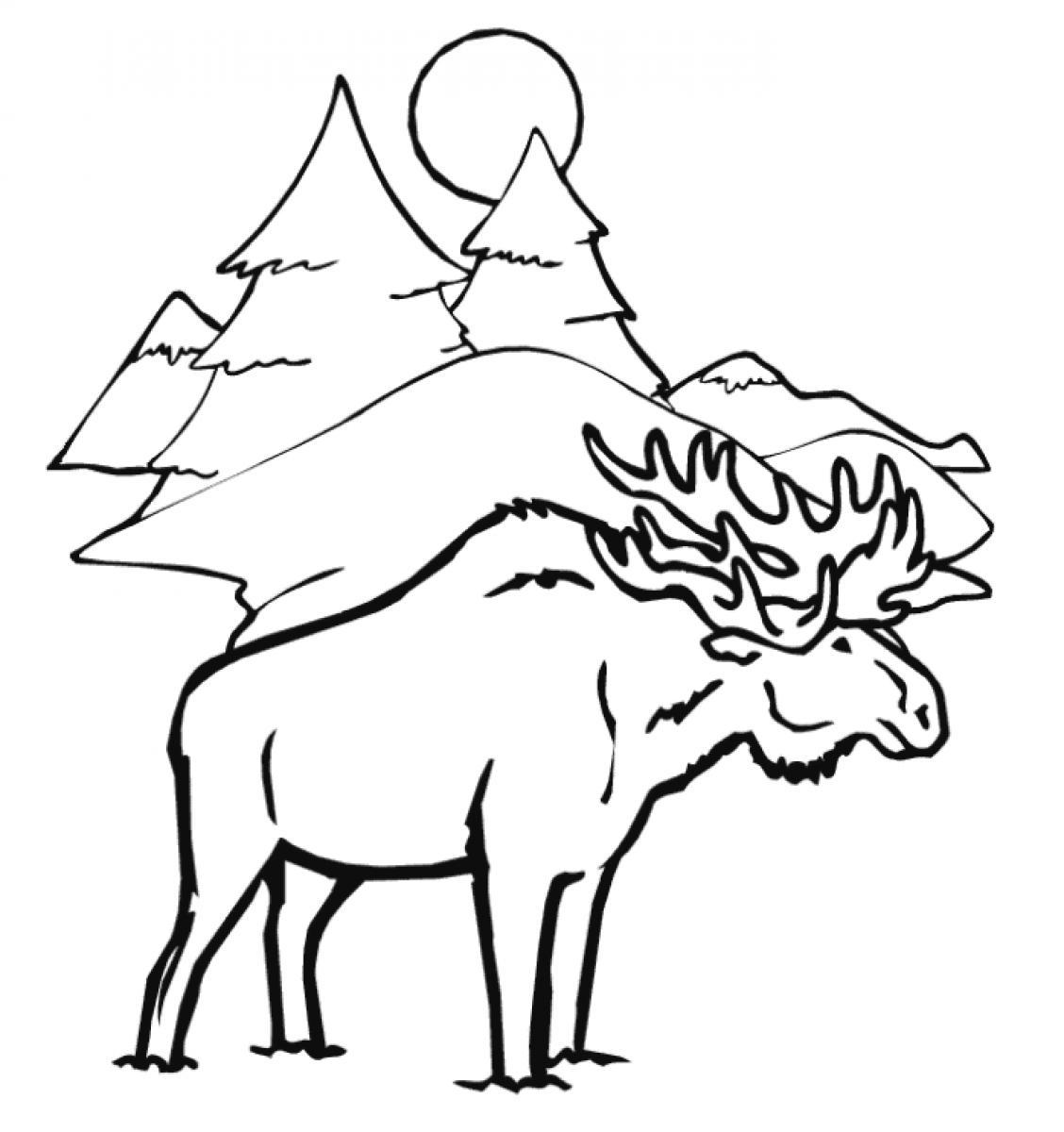 1128x1200 Noted Winter Animal Coloring Pages Animals